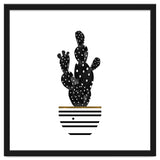 Black Cactus thumbnail