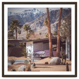 Palm Springs Pink II thumbnail
