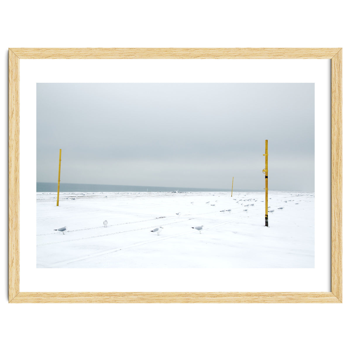 Seagulls in between the volleyball poles in winter snow beach