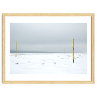 Seagulls in between the volleyball poles in winter snow beach
