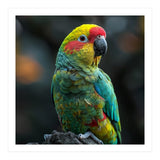 Vibrant Amazon Parrot Perched On A Branch (Print Only) thumbnail