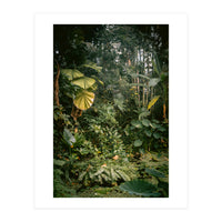 A small jungle in a green house (Print Only)