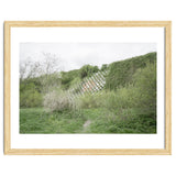 Green grass wall thumbnail