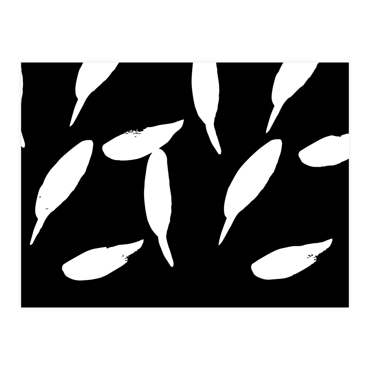 Free Fall (Print Only)