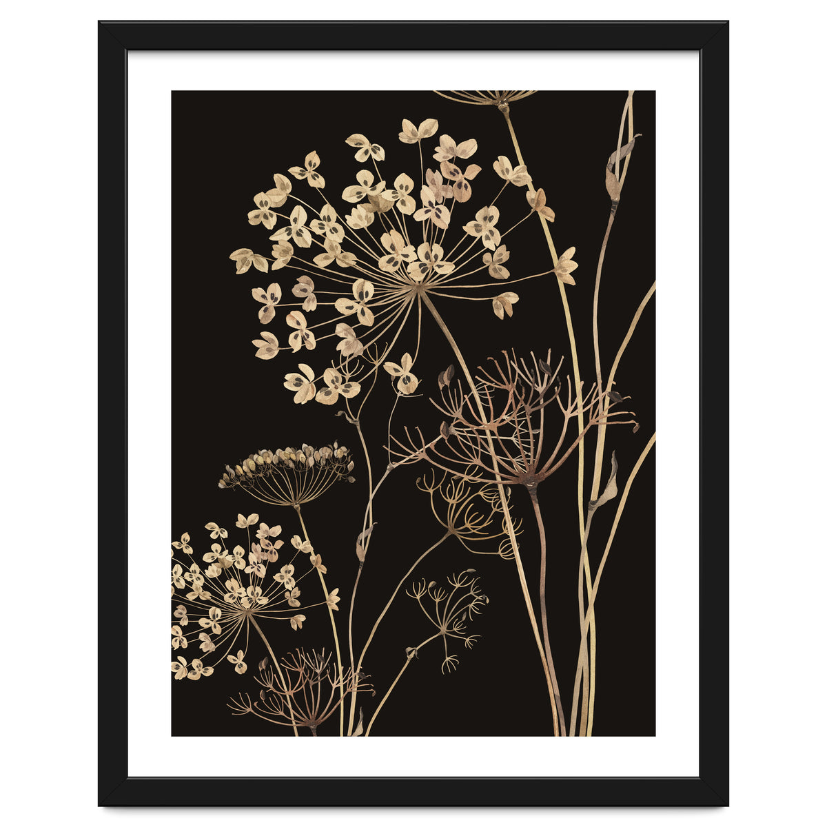 Wildflowers I