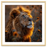 Majestic Lion In A Field Of Sunflowers thumbnail