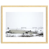 Blackbirds surrounding a frozen pond in winter thumbnail