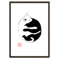 Ying yang Cat