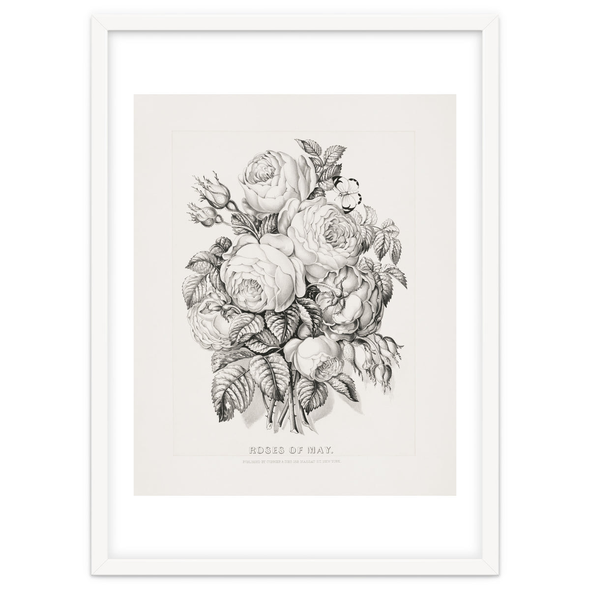 Currier & Ives – Rose of May (1870)