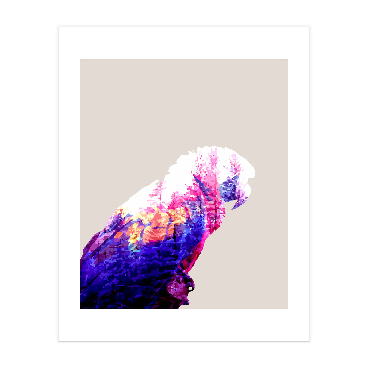 Macaw (Print Only)