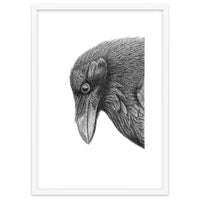 Huginn