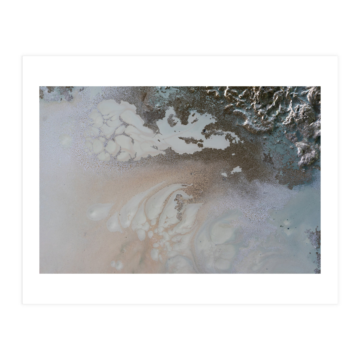 Life Unfolding (Print Only)