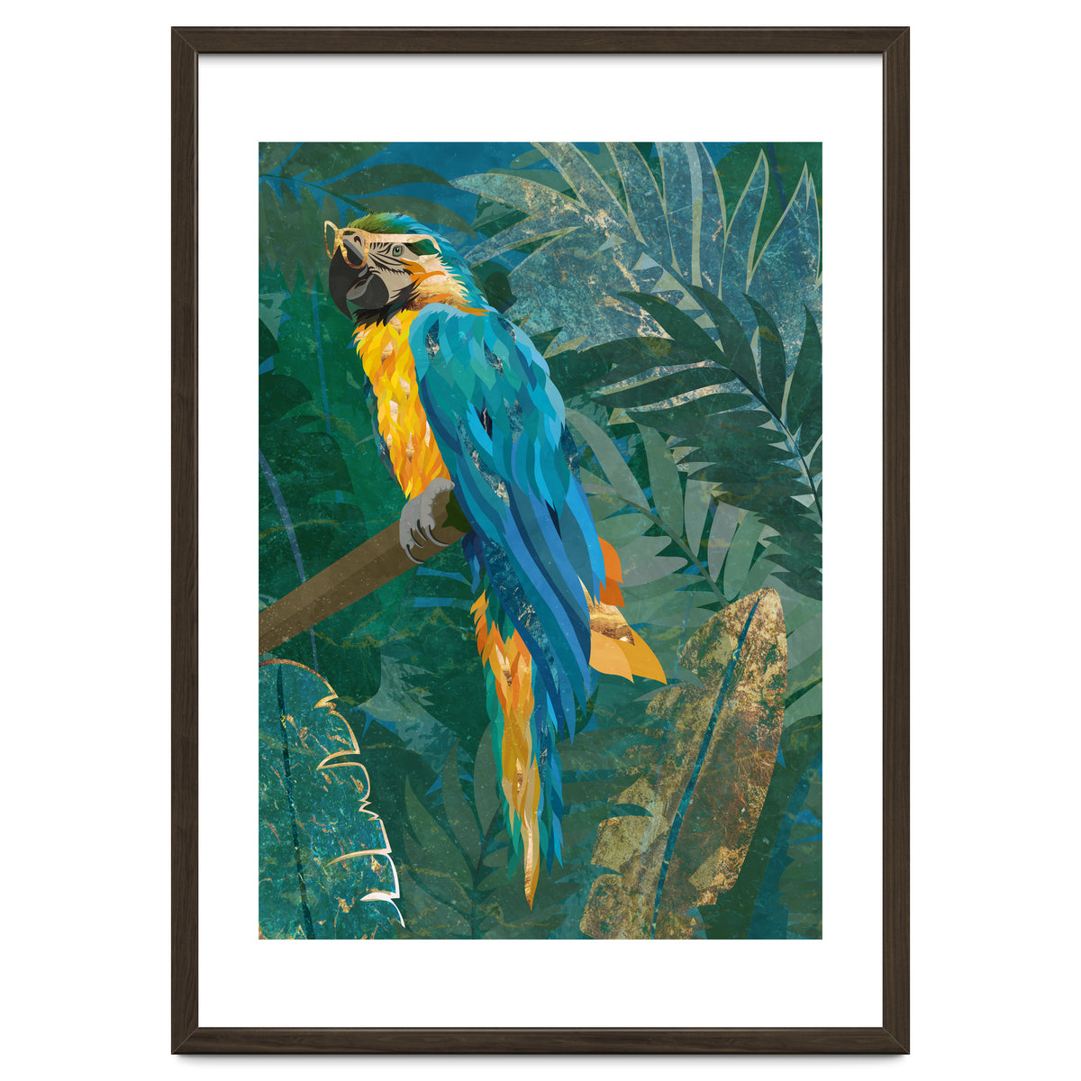 Macaw in the jungle