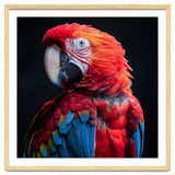 Scarlet Macaw Parrot Detailed Feather Close Up Portrait thumbnail