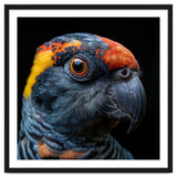 Close Up Of A Colorful Parrot Bird's Head thumbnail