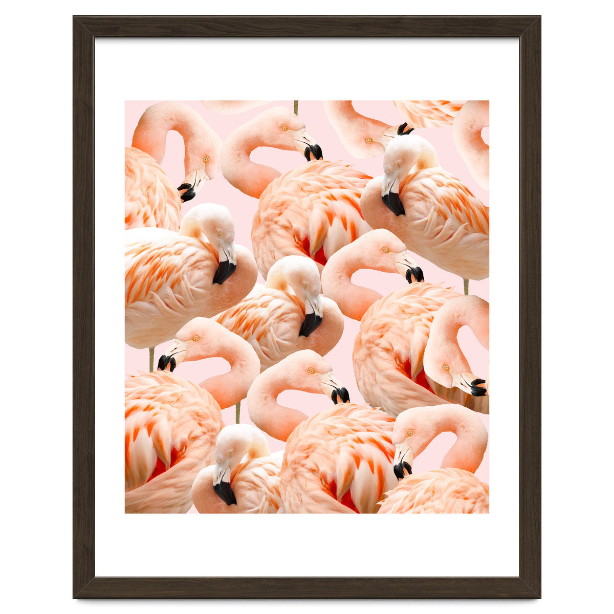Flamingo Blush #society6 #decor #buyart #flamingoart