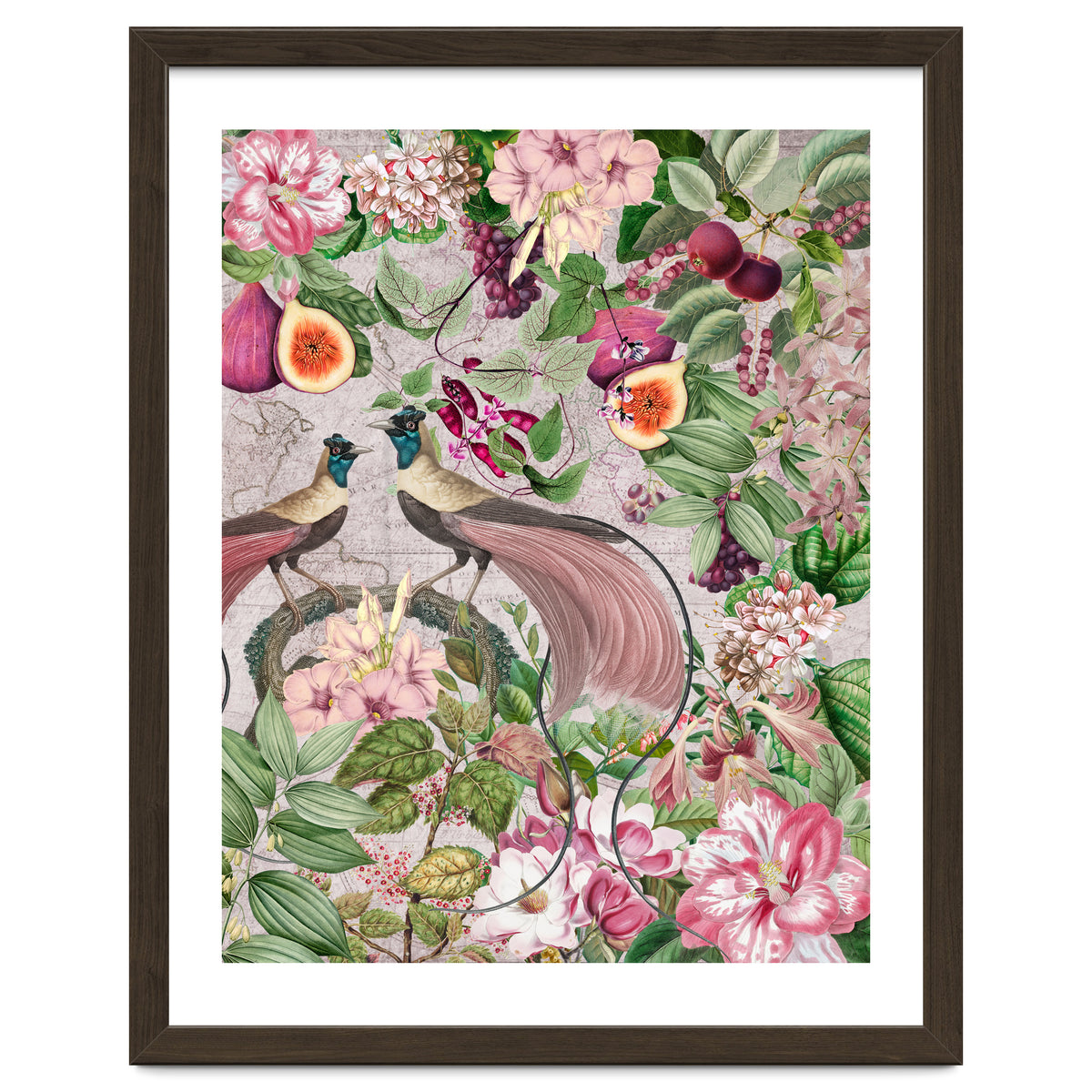 Vintage Birds Of Paradise Jungle