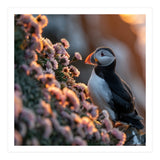 Puffin Bird On Rocks Near Pink Flowers At Sunset (Print Only) thumbnail