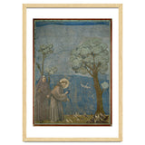 Saint Francis of Assisi preaching to the birds. Giotto. GIOTTO DE BONDONE (1266-1337). thumbnail