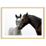Two Horses thumbnail