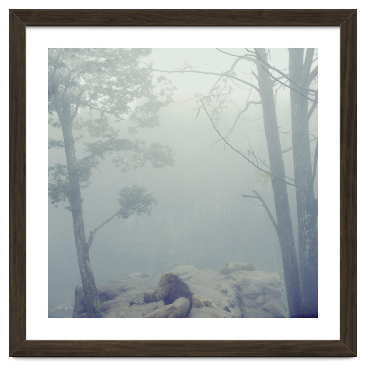 Silence of breath - 02