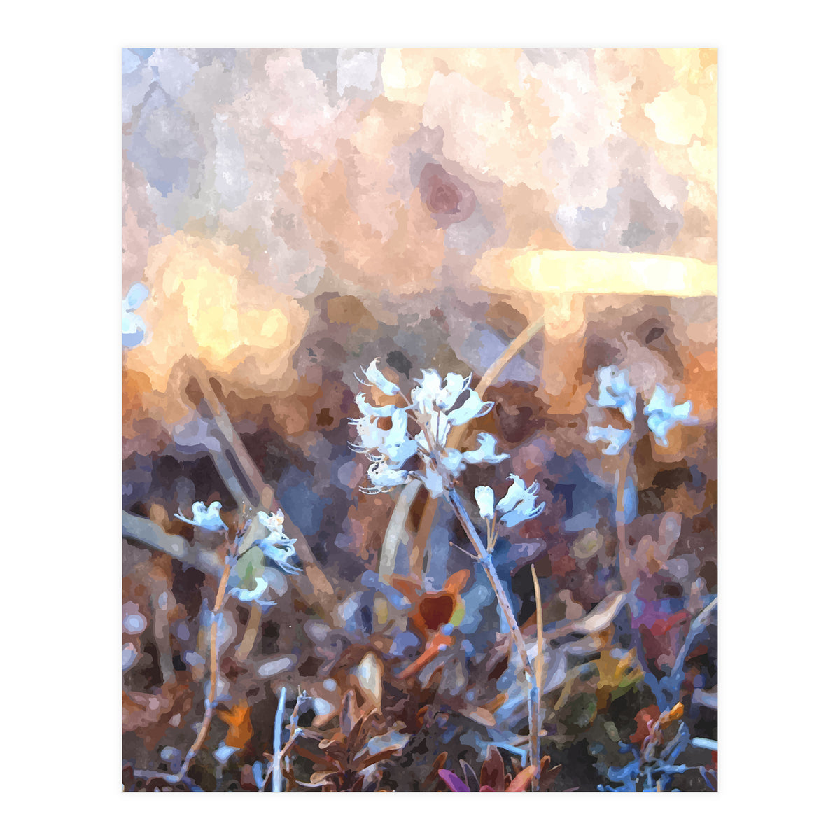 After The Rain (Print Only)