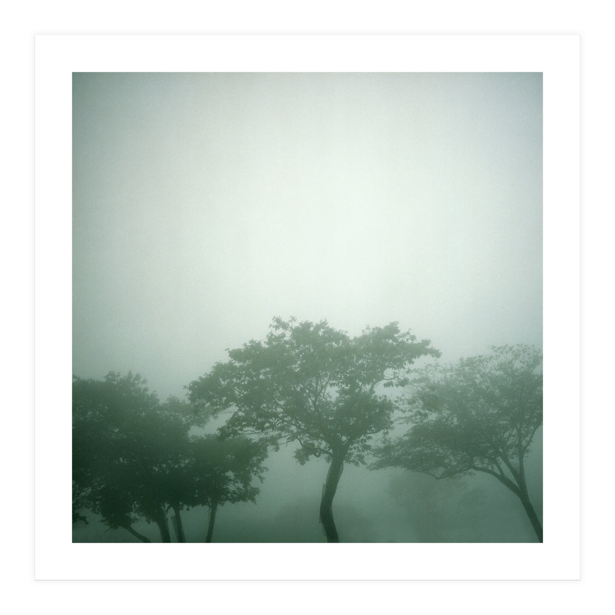 Silence of breath - 17 (Print Only)