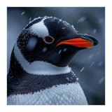 Close Up Penguin Portrait In Snowy Weather (Print Only) thumbnail