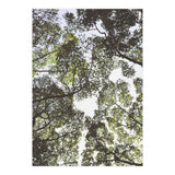 Mother Nature (Print Only) thumbnail