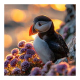 Puffin Bird Amidst Purple Flowers Golden Hour (Print Only) thumbnail