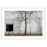 A tree in front of the wall thumbnail