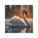 Majestic Swan Gliding On Water During Sunset Golden Hour Wildlife (Print Only) thumbnail