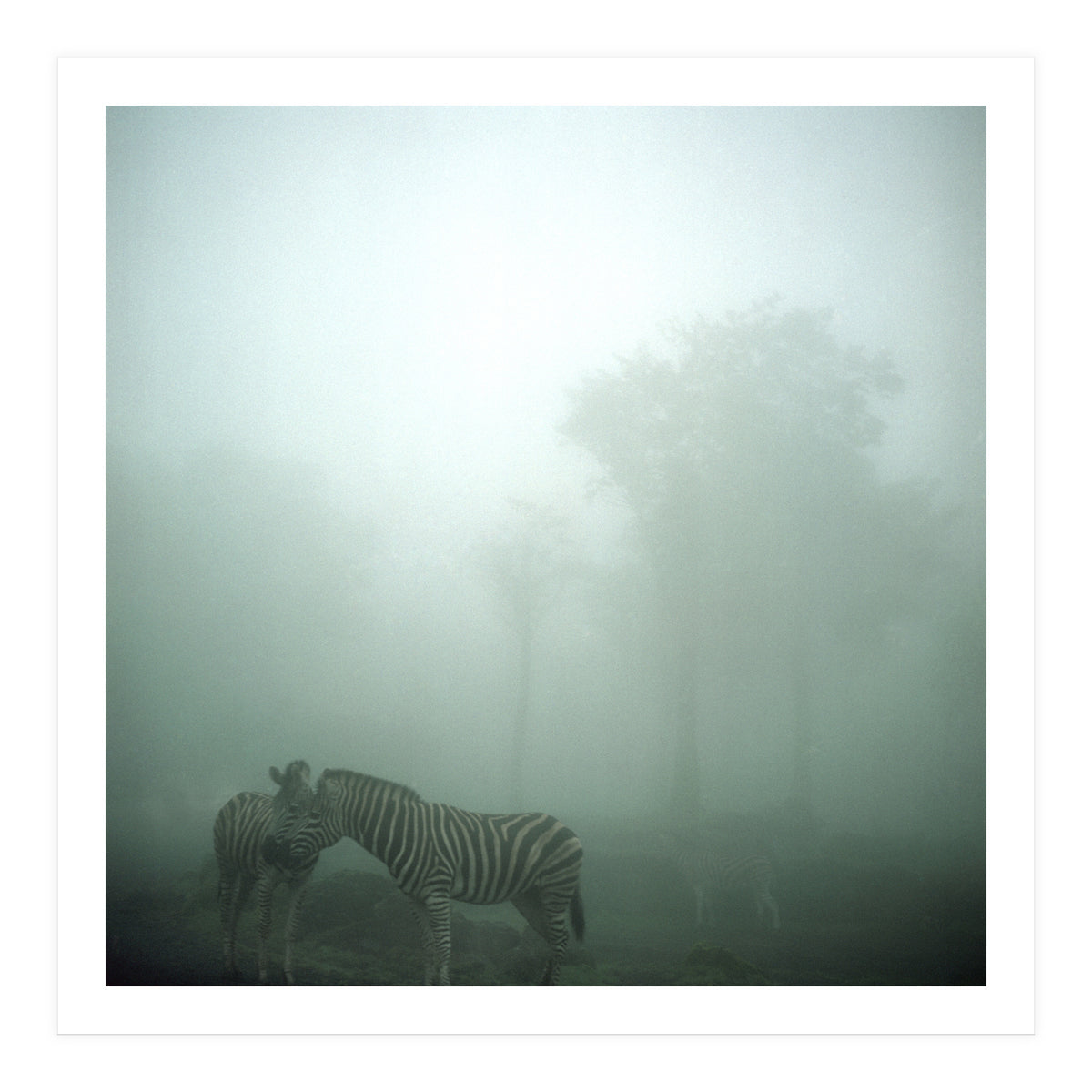 Silence of breath - 15 (Print Only)