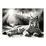 Lynx Resting In Sunlight (Print Only) thumbnail