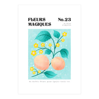 Magical Flowers No.23 Apricot Blossom (Print Only)