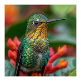 Close Up Of A Hummingbird On Red Flowers (Print Only) thumbnail