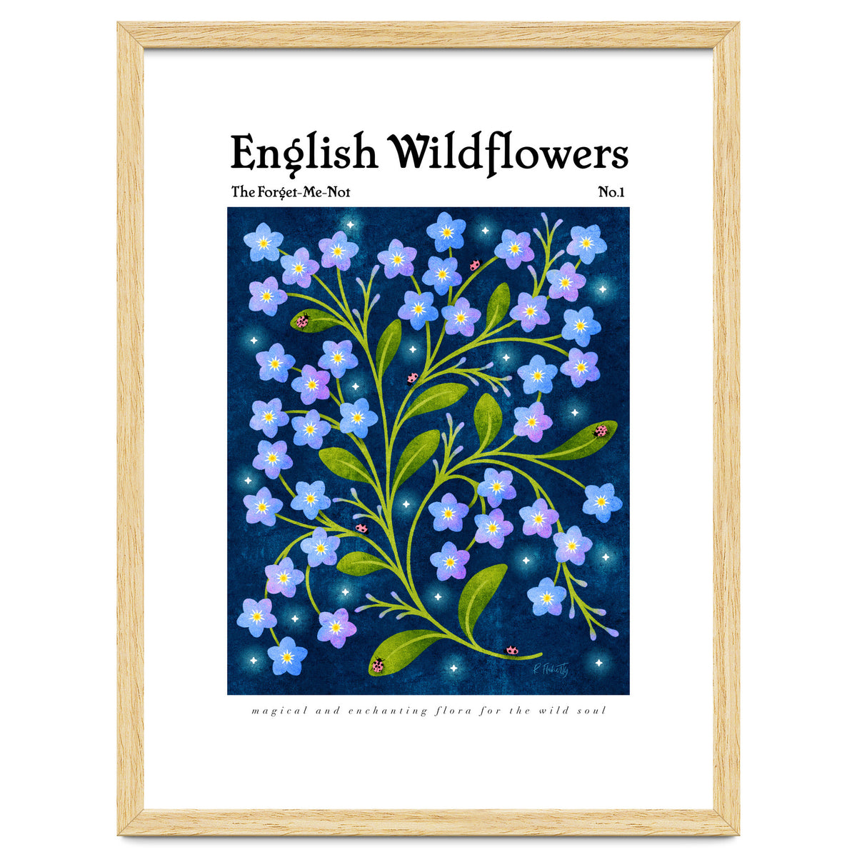 English Wildflowers | Forget-Me-Not