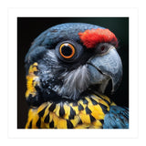 Close-up Portrait of a Vibrant Parrot (Print Only) thumbnail