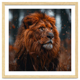 Majestic Lion King Of The Jungle Close Up Portrait thumbnail