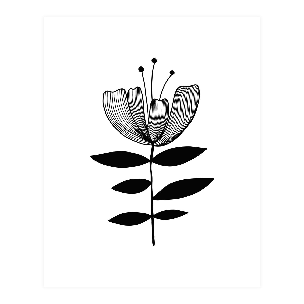 Tulip blossom (Print Only)