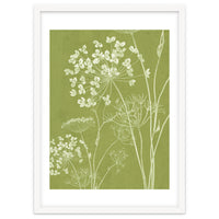 Wildflowers III