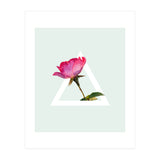 Rose (Print Only) thumbnail