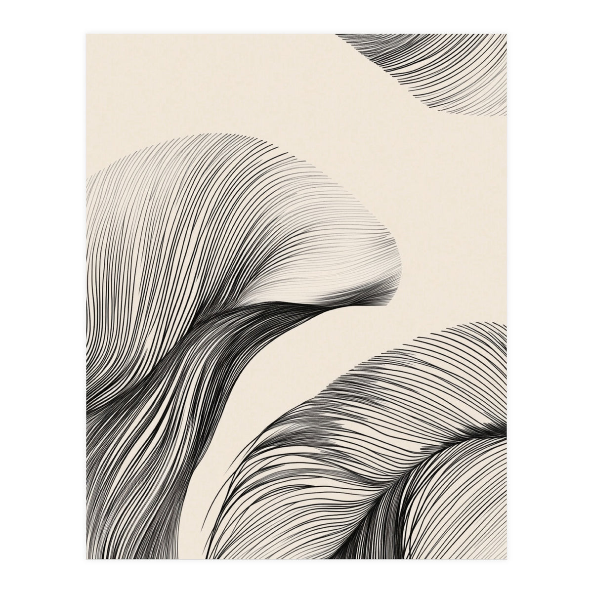 Black And White Flowing Lines Organic Shapes  (Print Only)