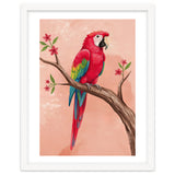 Red Macaw Parrot Bird Forest thumbnail