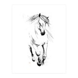 Runninh Ghorse In Water (Print Only) thumbnail
