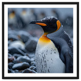 King Penguin Standing In Snowfall Outdoors thumbnail