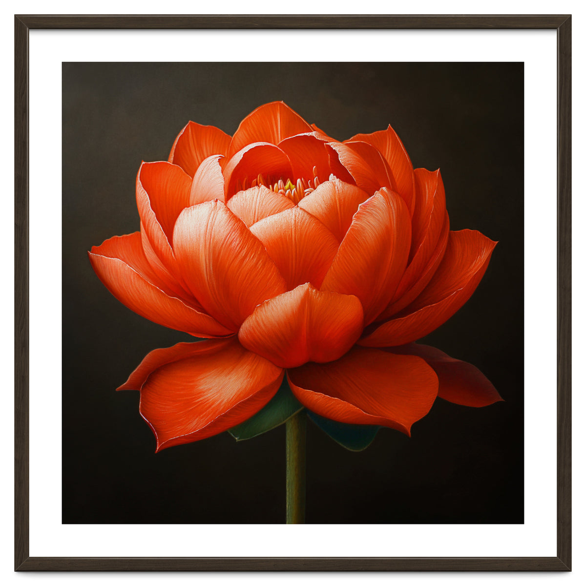 Double Lotus | Scarlet Solace