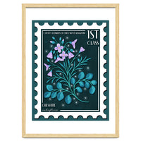The Cheshire Cuckooflower Postage Stamp