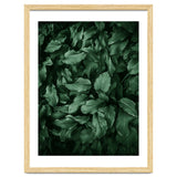 New Foliage Green Ii thumbnail