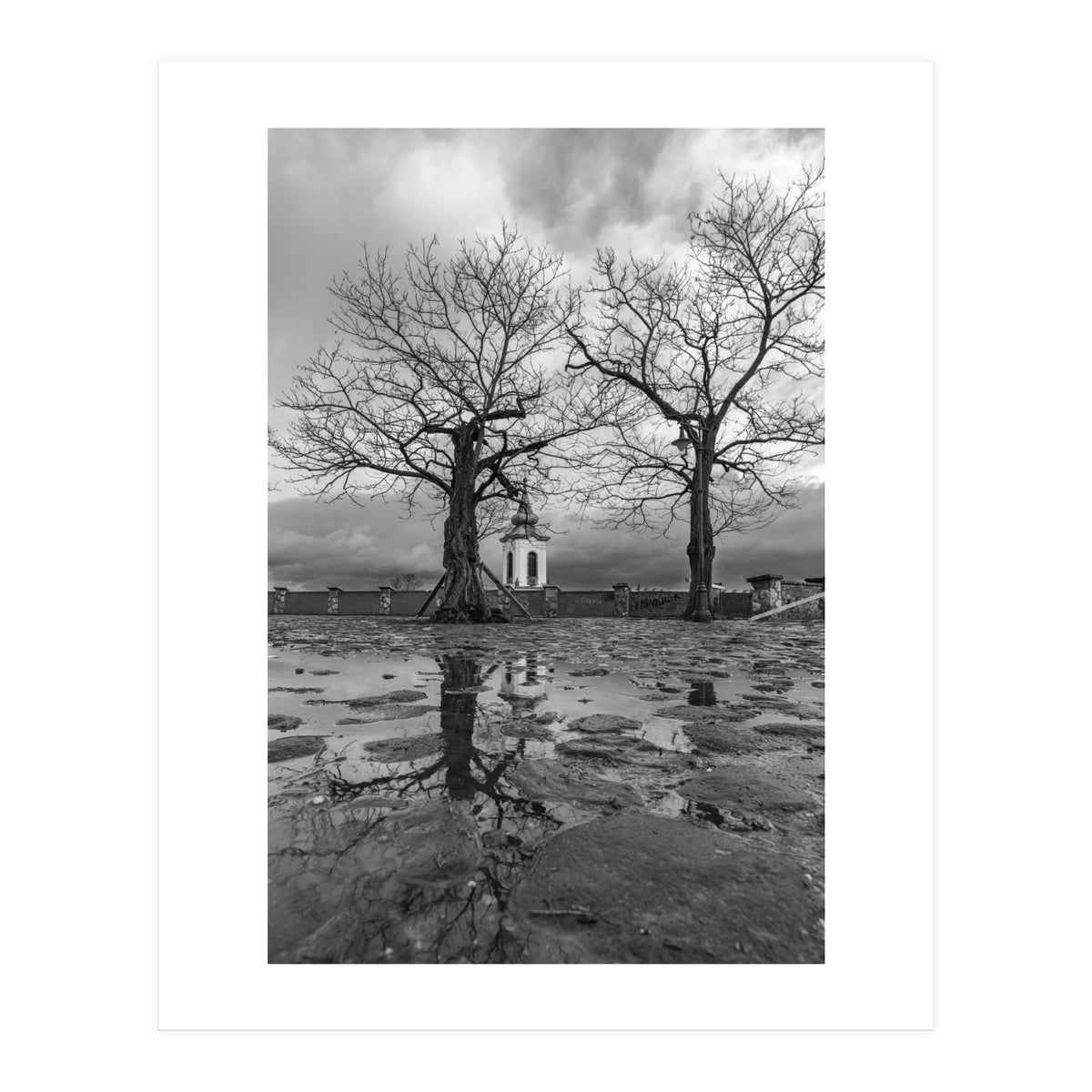 Churches and trees (Print Only)